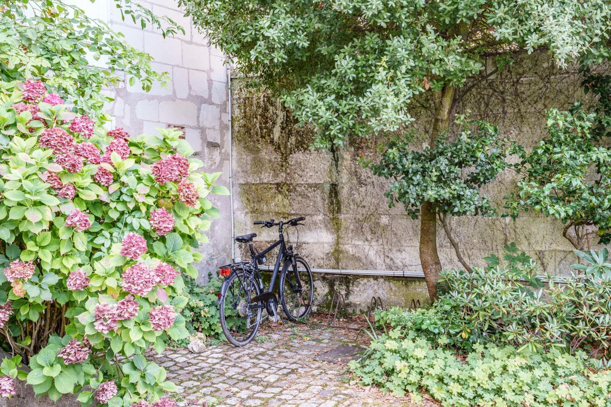 Appartement Raffine Vue Cathedrale, Jardin, Wifi Tours Luaran gambar